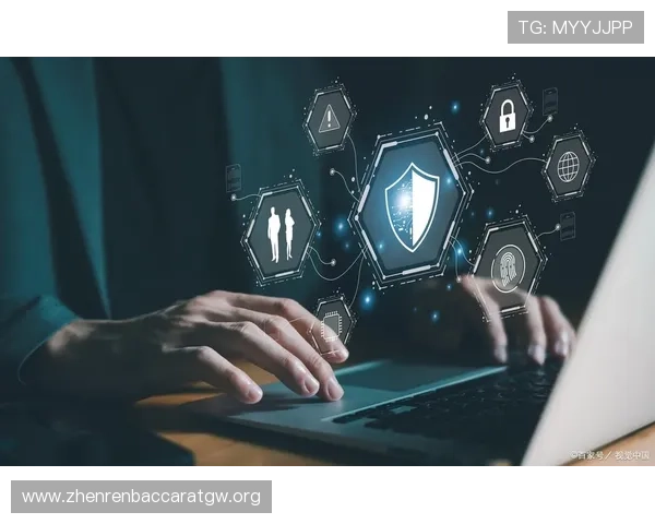 K8真人官网入口的安全保障措施及用户隐私保护策略全面解析